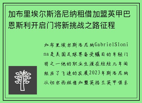 加布里埃尔斯洛尼纳租借加盟英甲巴恩斯利开启门将新挑战之路征程